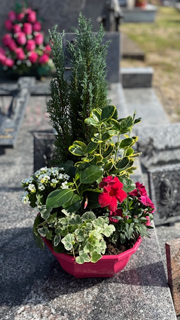 Fleurissement_34