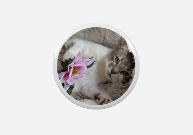 Médaillon_Porcelaine_5 Médaillon_Porcelaine_5