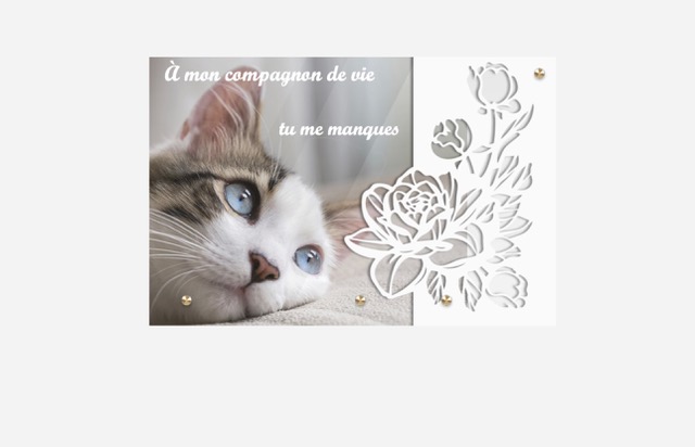 Plaque_Altuglas_12 Plaque_Altuglas_12