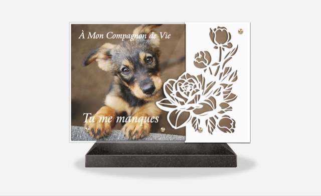 Plaque_Altuglas_13 Plaque_Altuglas_13