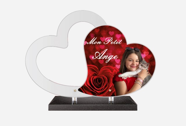 Plaque_Altuglas_3 Plaque_Altuglas_3