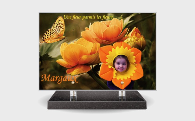 Plaque_Altuglas_6 Plaque_Altuglas_6